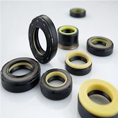 Selos de direção hidráulica